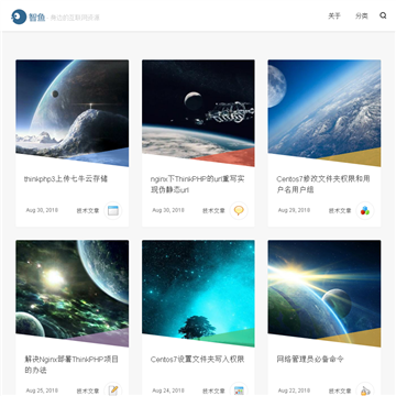 智鱼网