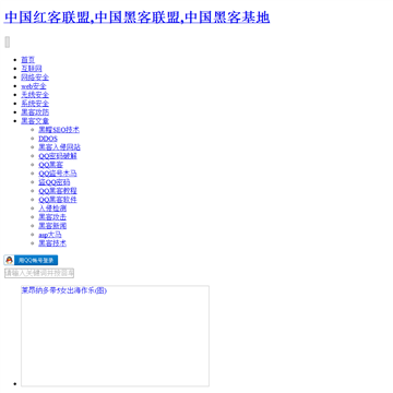 中国黑防联盟