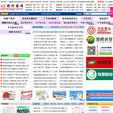 猪价格网